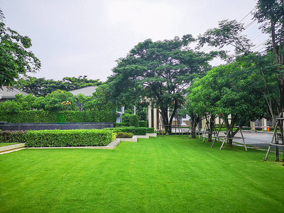 作为花园后院地毯的平滑和新鲜绿色草坪背景图片
