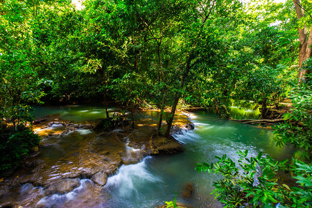 热带深雨林中的瀑布与绿树林背景图片