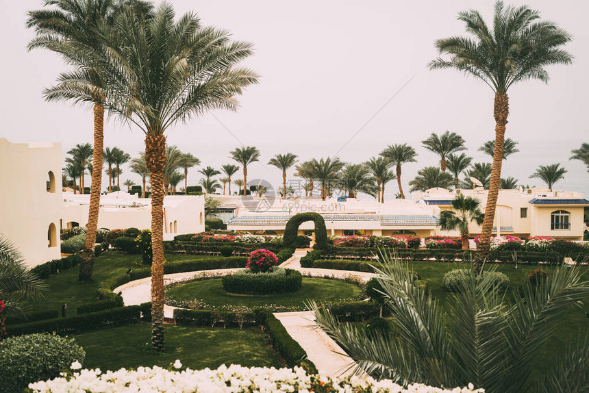 阳光明媚的度假海滩与棕榈树在埃及沙姆伊赫的红海岸图片