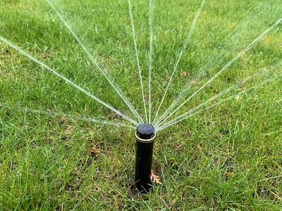 用于浇灌草坪的洒水器院子里的绿草自动浇水公园内绿化植图片