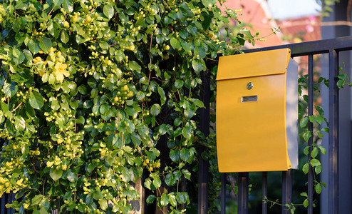 黑色栅栏上现代黄色邮件箱有美丽的图片