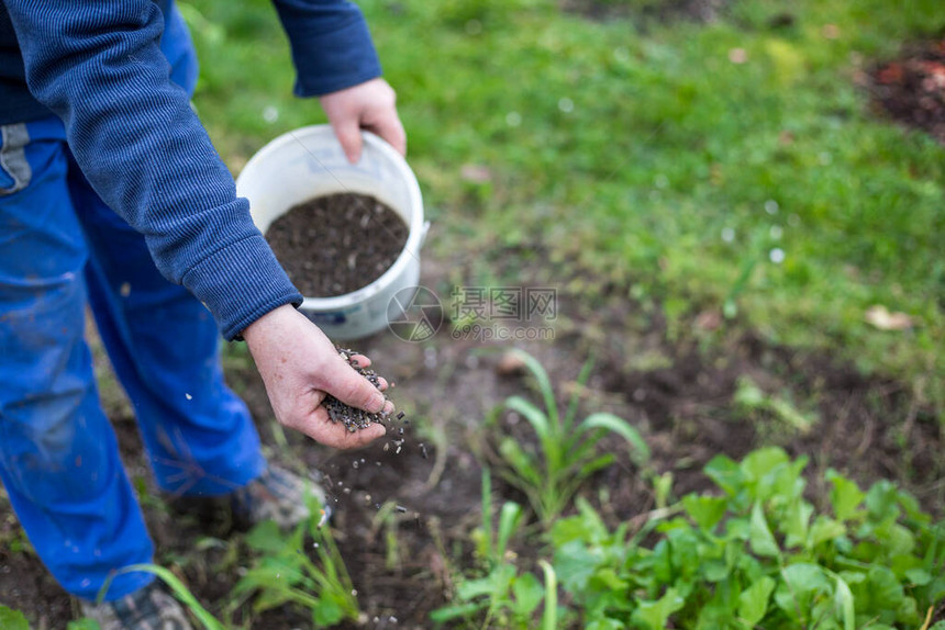 利用生物颗粒化肥对花园施肥以改善园图片