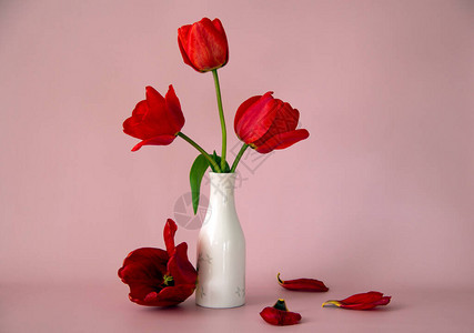 白色花瓶中的红色郁金香花束图片