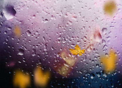秋叶落人行道阴雨城市晚光反射在旧路面雨滴在窗口城市光模糊背景图片