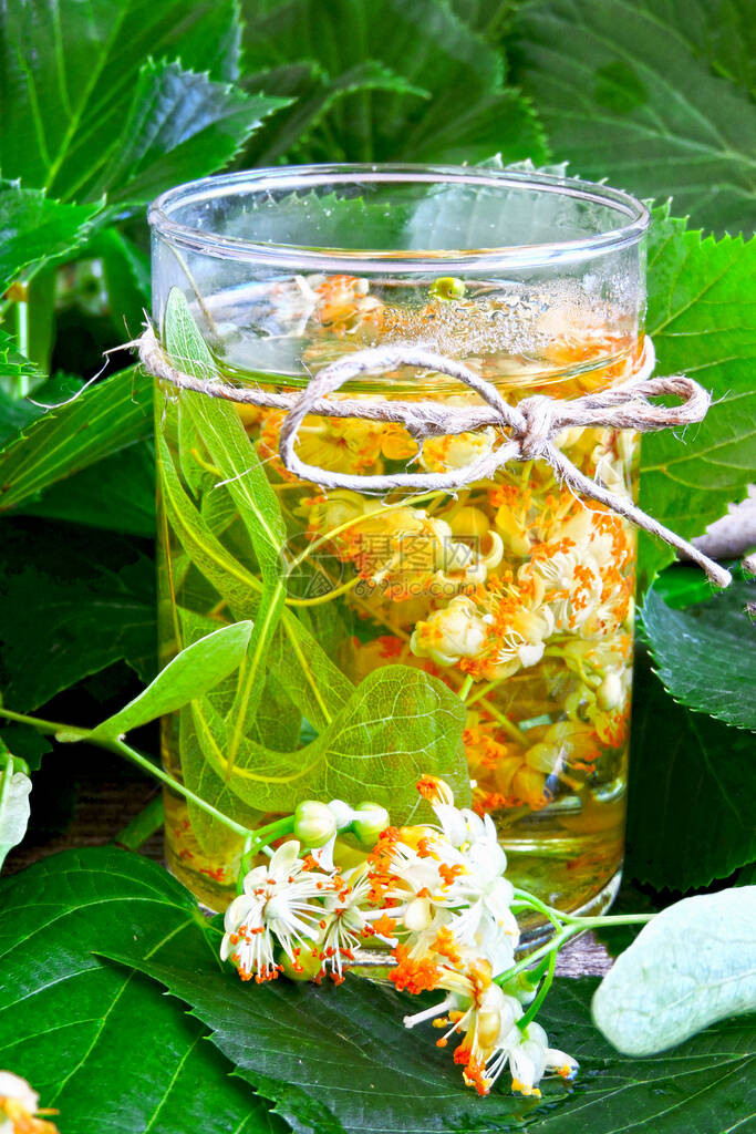 菩提树的叶子和花新鲜的草本酸橙茶椴树花茶用石灰花的制备图片
