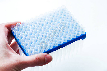 盒子里科学实验的蓝色提示遗传实验室中的微生物吸管分配图片