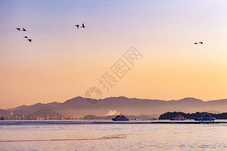 日本广岛内海广岛湾美丽的紫色黎明日出图片