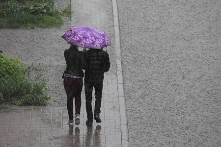 在寒冷的夏日雨天图片