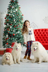 小美少女模特和三只大白毛狗在新年内地圣诞树附近带着红色沙发图片