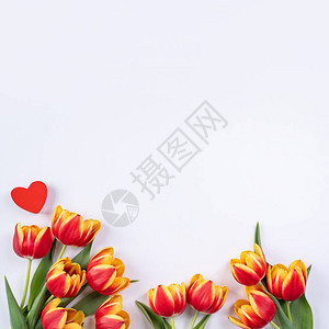 郁金香花束美丽的红色图片