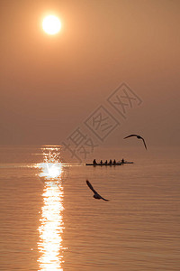 海鸥飞过赛艇队在日落时分在波光粼的湖面上训练背景图片