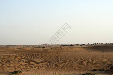 沙漠的傍晚沙丘图片