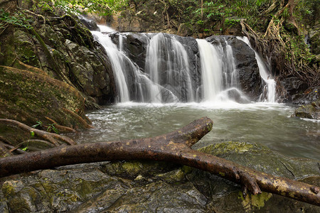 沿着山区和雨林旅行ChetKhot自然和生态旅游中心图片