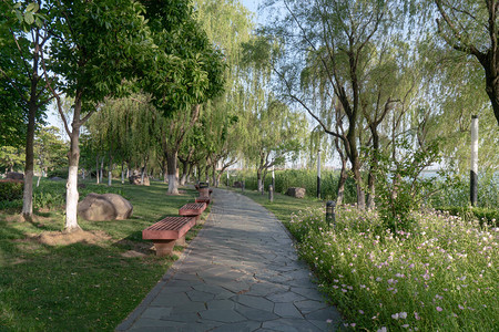 苏州市中心公园的景观照片图片