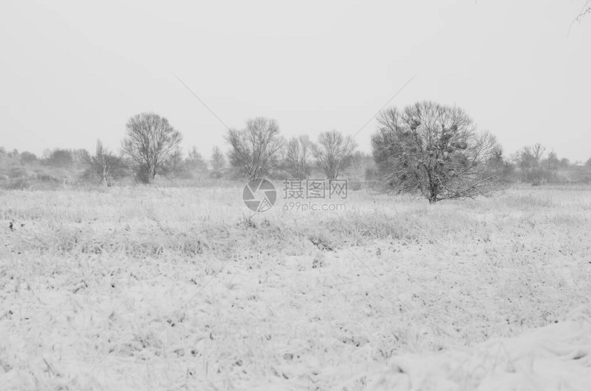 雪景冬天覆盖木材霜视图图片