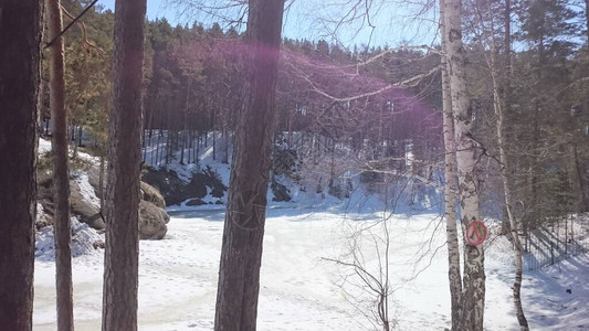 冬天的湖树木间冰图片