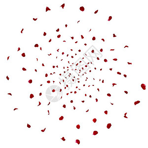 玫瑰花瓣像龙卷风一样旋转成一个圆圈孤立的白色背景图片