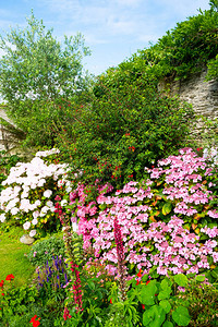 一个美丽的夏日挂墙花园边花卉露台图片