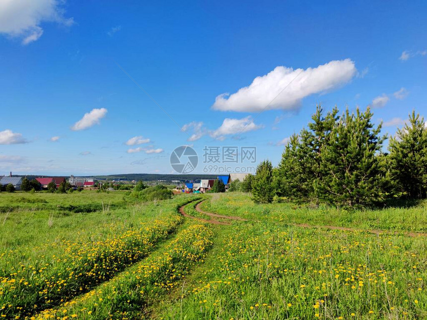 一片绿草和黄花的田野中的农村道路图片