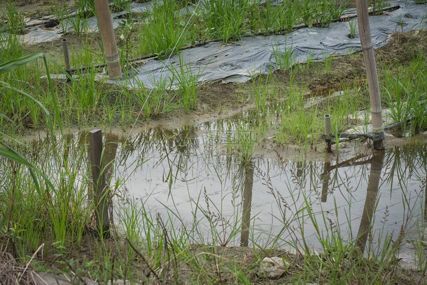 农场的人造简单排水系统图片
