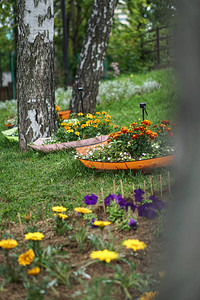 夏季花朵草地多彩公园花棚上的花朵图片