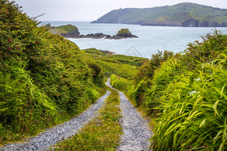 爱尔兰西科克谢尔金岛上的道路图片
