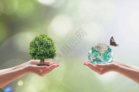 绿色世界和生命之树在志愿者手上的清洁环境中生长图片