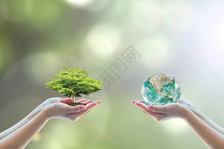 世界环境日概念与植树和绿色地球在志愿人员手中NASA提图片