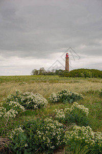 福马岛Fehmarn的灯塔背景图片