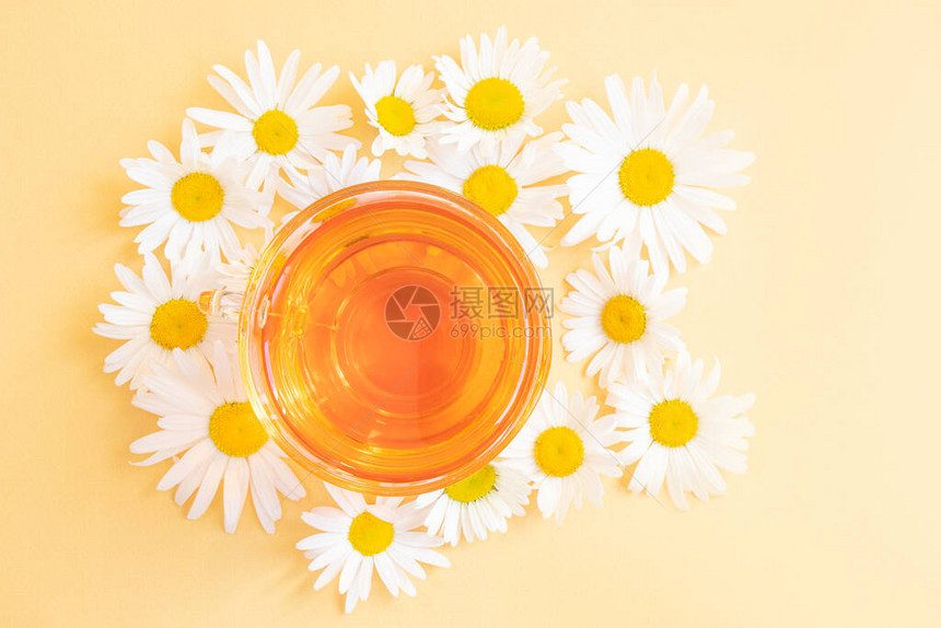 黄色背景上透明杯中的洋甘菊茶杯子周围是洋甘菊花凉茶健康维生素舒缓饮料的概念极简主义图片
