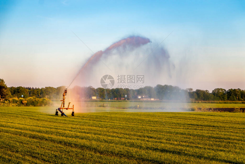 农民们在荷兰Harich村附近的Friesland省干旱期间向草地喷洒水图片