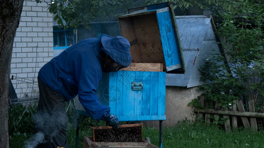 养蜂人在花园里和蜜蜂一起工作蜂窝蜜蜂的房子蜂巢养蜂业养蜂业的概念图片