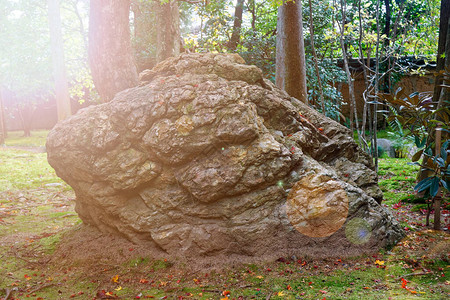 有巨石的日本公园假山岩石花园全景园艺背景全园丁图片