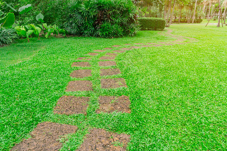 广场红土踏石在鲜绿草场光滑地毯草坪和公园一侧棕榈树和灌木上的图片