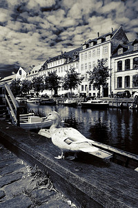 哥本哈根的街道和景点图片