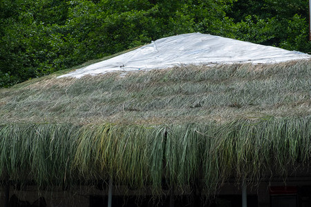 房子的屋顶是草做的用稻草盖住餐厅的屋顶天以多云为图片