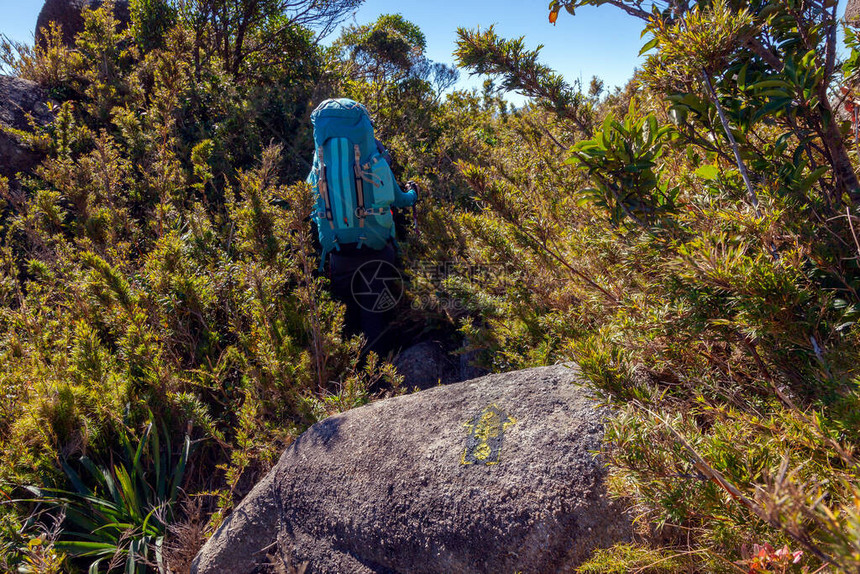 巴西曼提基拉山脉的徒步登山旅行者图片