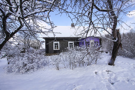 东欧乡村的冬季自然细节伍德农庄建筑和园艺图片