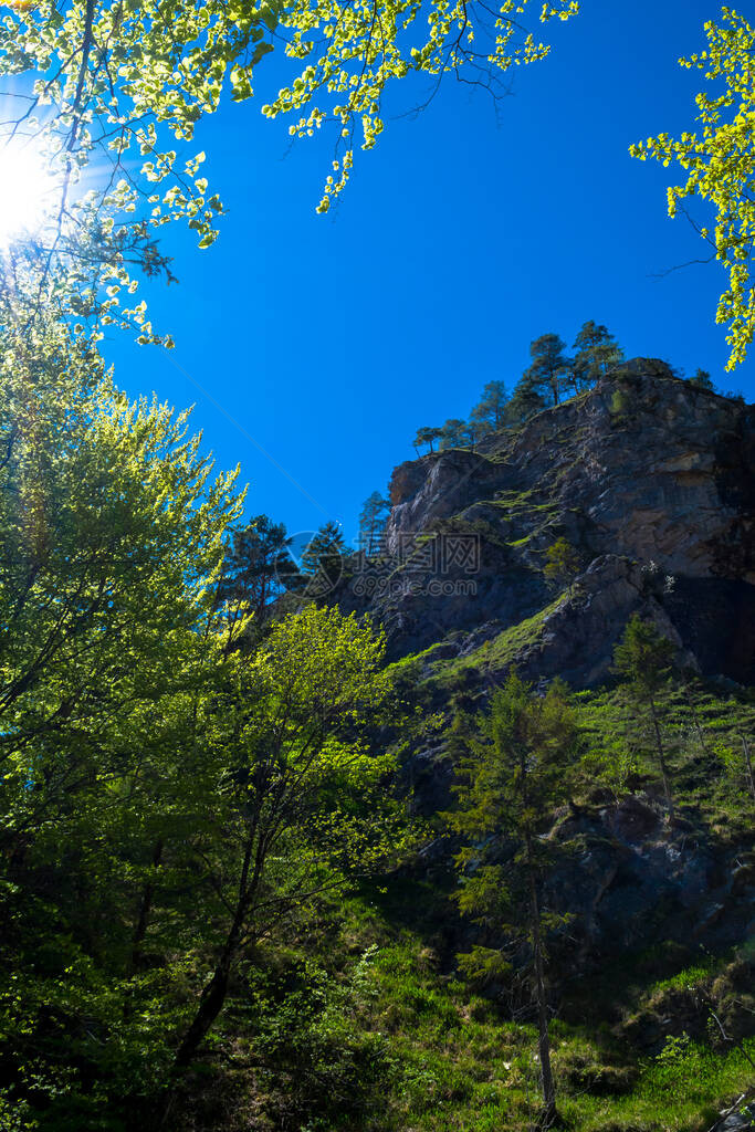 与洛基克拉格山和森林在图片