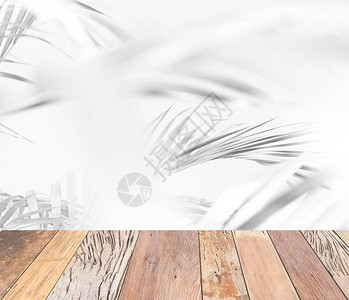 棕榈叶灰色背景含木地板图片