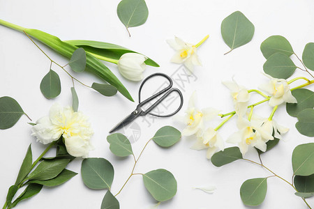 白色背景花卉装饰剪刀图片