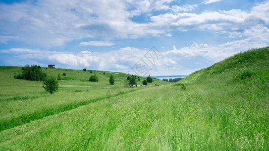 俄罗斯中部地带的风景俄罗斯领域图片