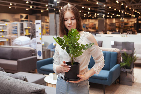 在家庭百货商店购物的拥有陶瓷怪物工厂图片