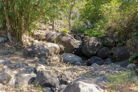 一种橡胶拖鞋和巨石在背面的干燥河上被孤背景图片