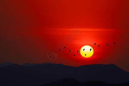 夜空中日落太阳在月光山上鸟图片