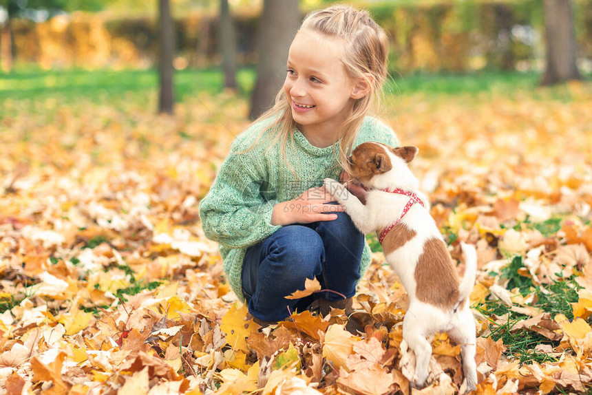 纯种的小狗和小caucasian女孩图片