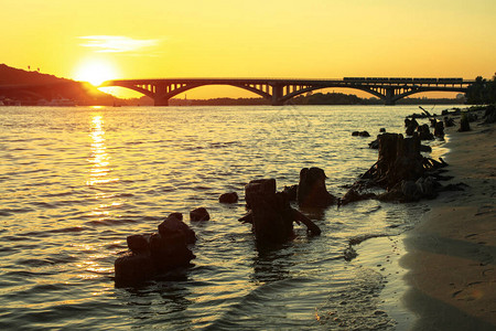 城市和日落时桥背景之下河流或湖泊中的漂浮木图片