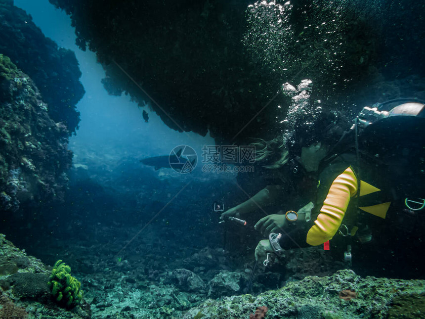 水肺潜水员在菲律宾马拉帕斯加的托岛的热带珊瑚礁中看到一条白鳍礁鲨图片