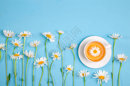 来自洋甘菊花的凉茶和蓝色背景上的一束雏菊背景图片