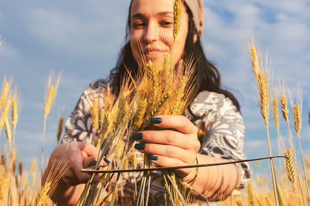 快乐的女人在黎明时分在田野里割镰麦高清图片